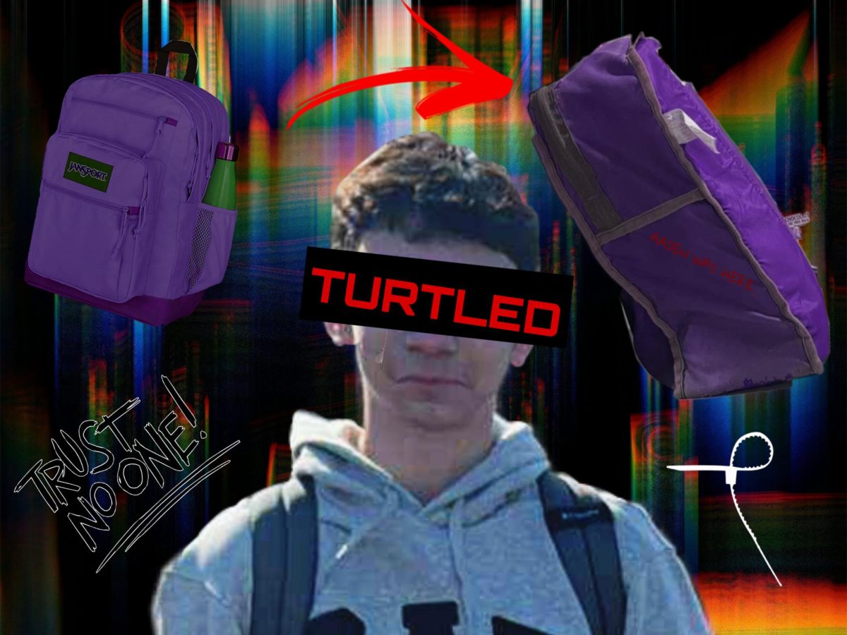 The Turtling Incident : Ludlow High’s Confusingly Local Trend